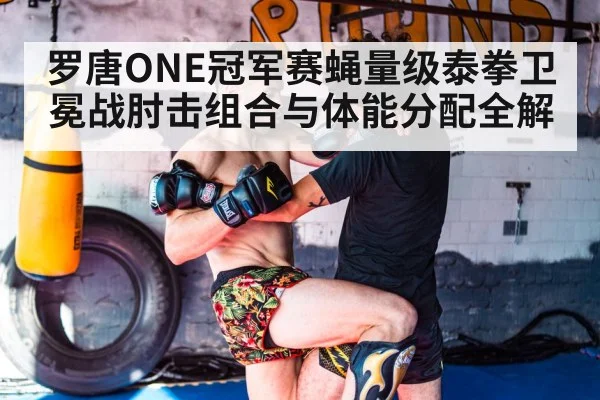 罗唐ONE冠军赛蝇量级泰拳卫冕战肘击组合与体能分配全解