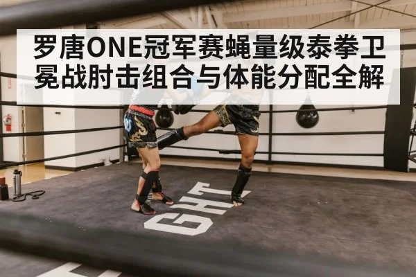 muay thai fighter ring